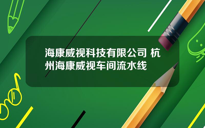 海康威视科技有限公司 杭州海康威视车间流水线